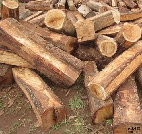 木材进口报关行报价 厂家