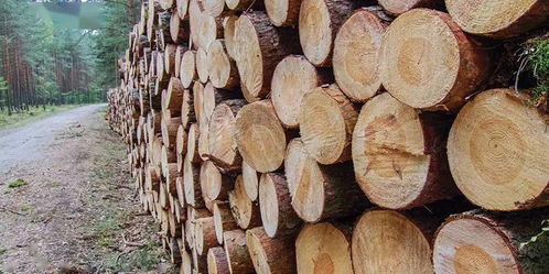 中国下调阿根廷木材产品的进口关税